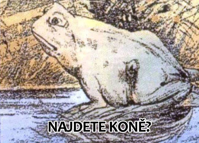 Žába nebo kůň?