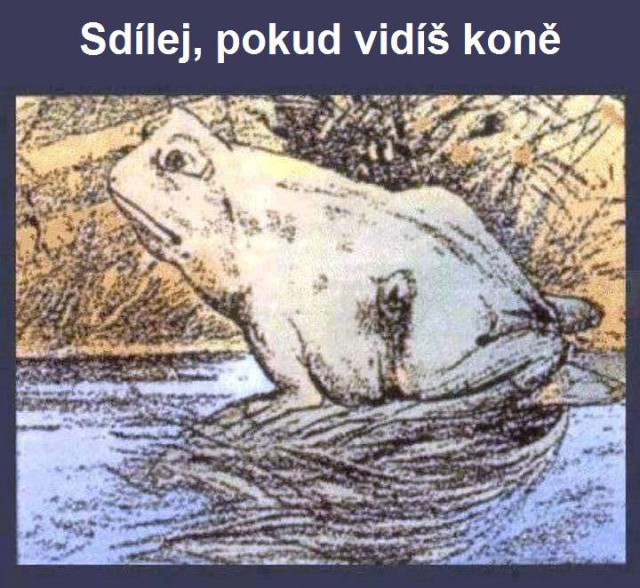 Žába a kůň